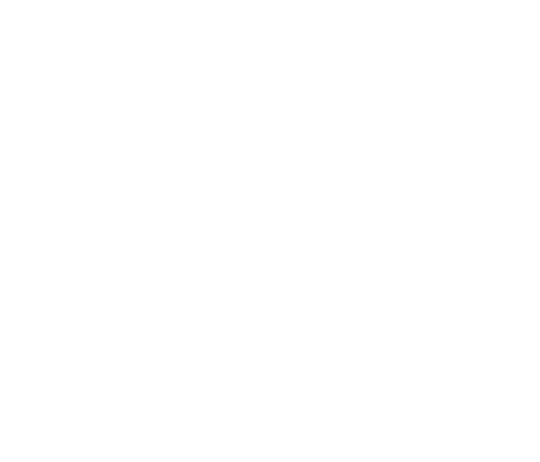search ICon